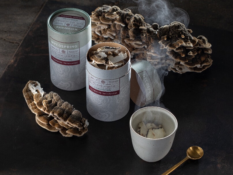 פטריות מרפא