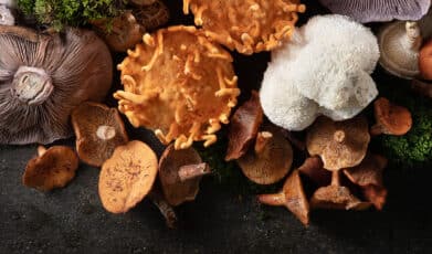 היתרונות של פטריית קורדיספס למחלת הסוכרת