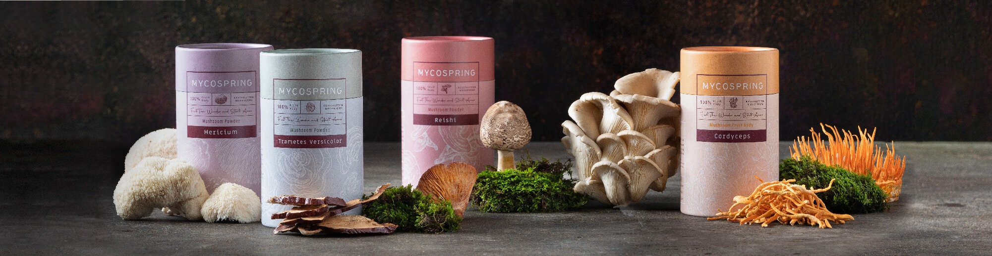 פטריות מרפא לחרדות