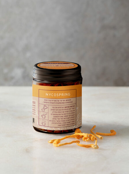 Cordyceps Fruit Bodies