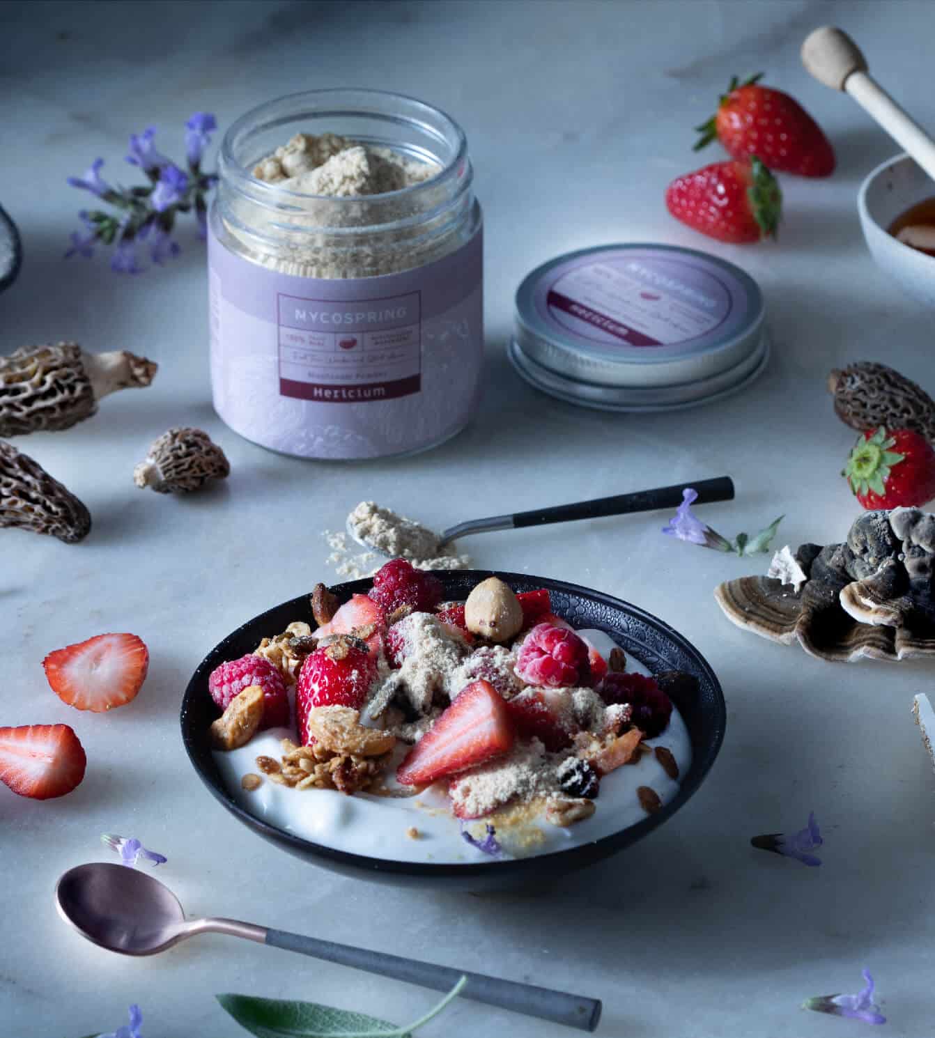 פטריות מרפא