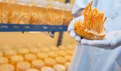 Medicinal uses of the mushroom Cordyceps militaris: Current state and prospects