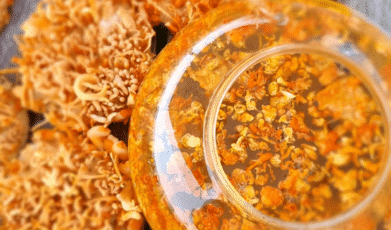 היכולת המופלאה של פטריית קורדיספס לשיפור הביצועים האתלטיים