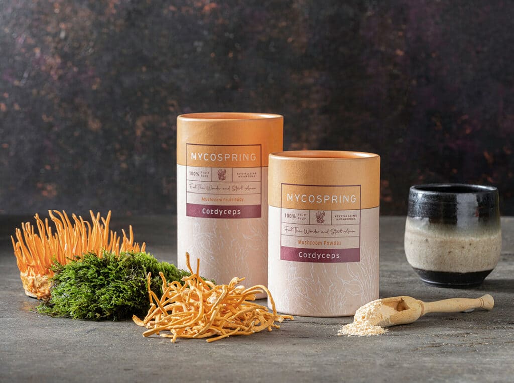 פטריית קורדיספס