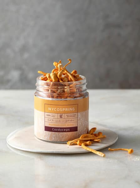 גופי פרי קורדיספס EN