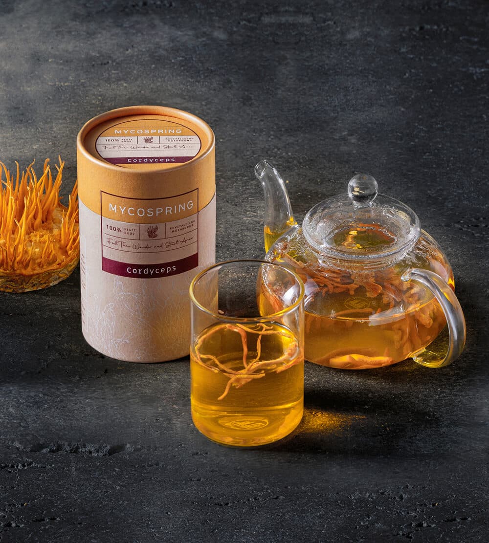 חליטת פטריות מרפא