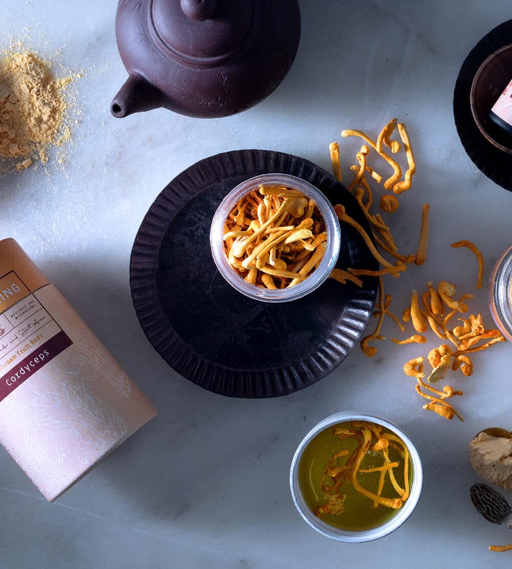 גופי פרי פטריות מרפא