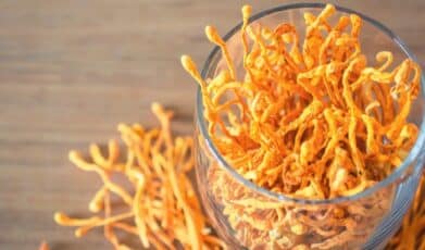 פטריית ״קורדיספס” – נעים להכיר!