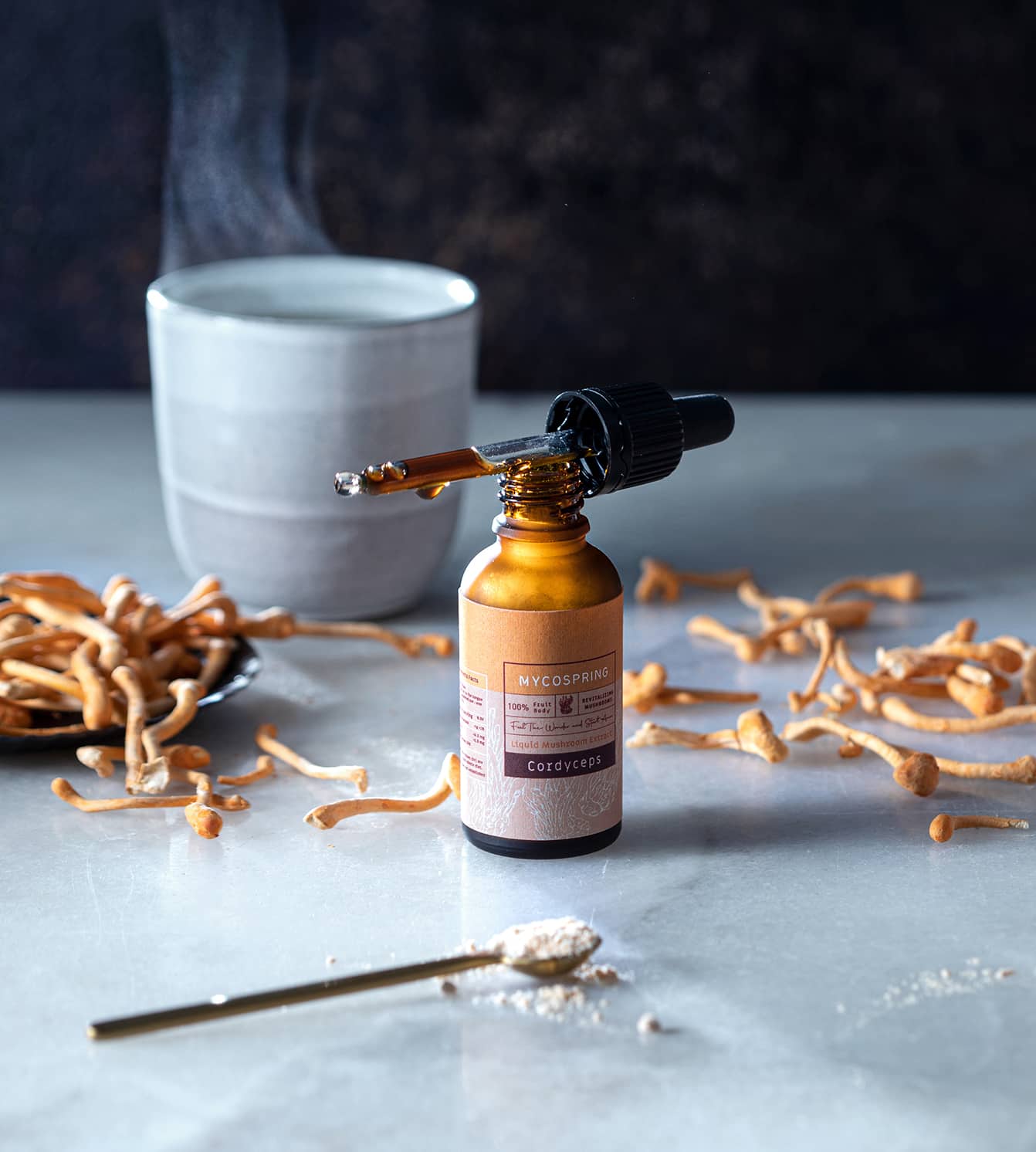 תמצית קורדיספס