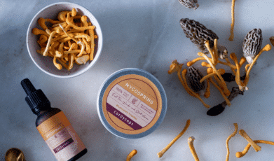 תועלות פטריית קורדיספס לבלוטת התריס