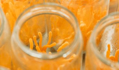 Dual-Directional Immunomodulatory Effects of Corbrin Capsule on Autoimmune Thyroid Diseases