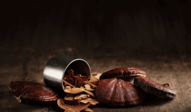 היתרונות המופלאים של פטריית הריישי