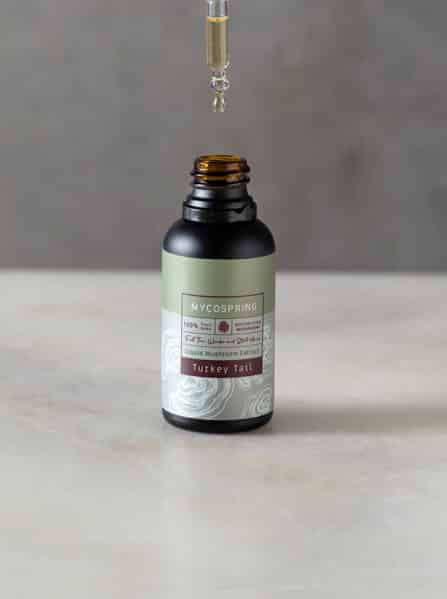 Turkey Tail Liquid Extract