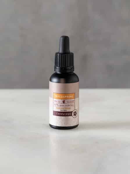 תמצית קורדיספס לבע”ח EN