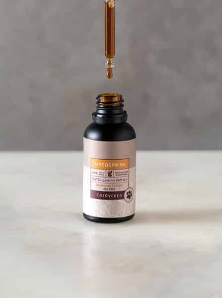 תמצית קורדיספס לבע"ח