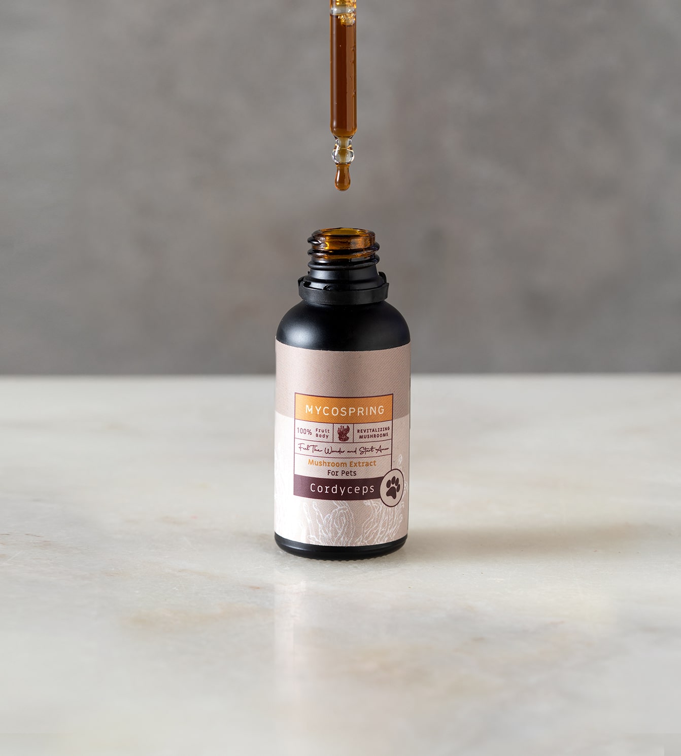 תמצית קורדיספס