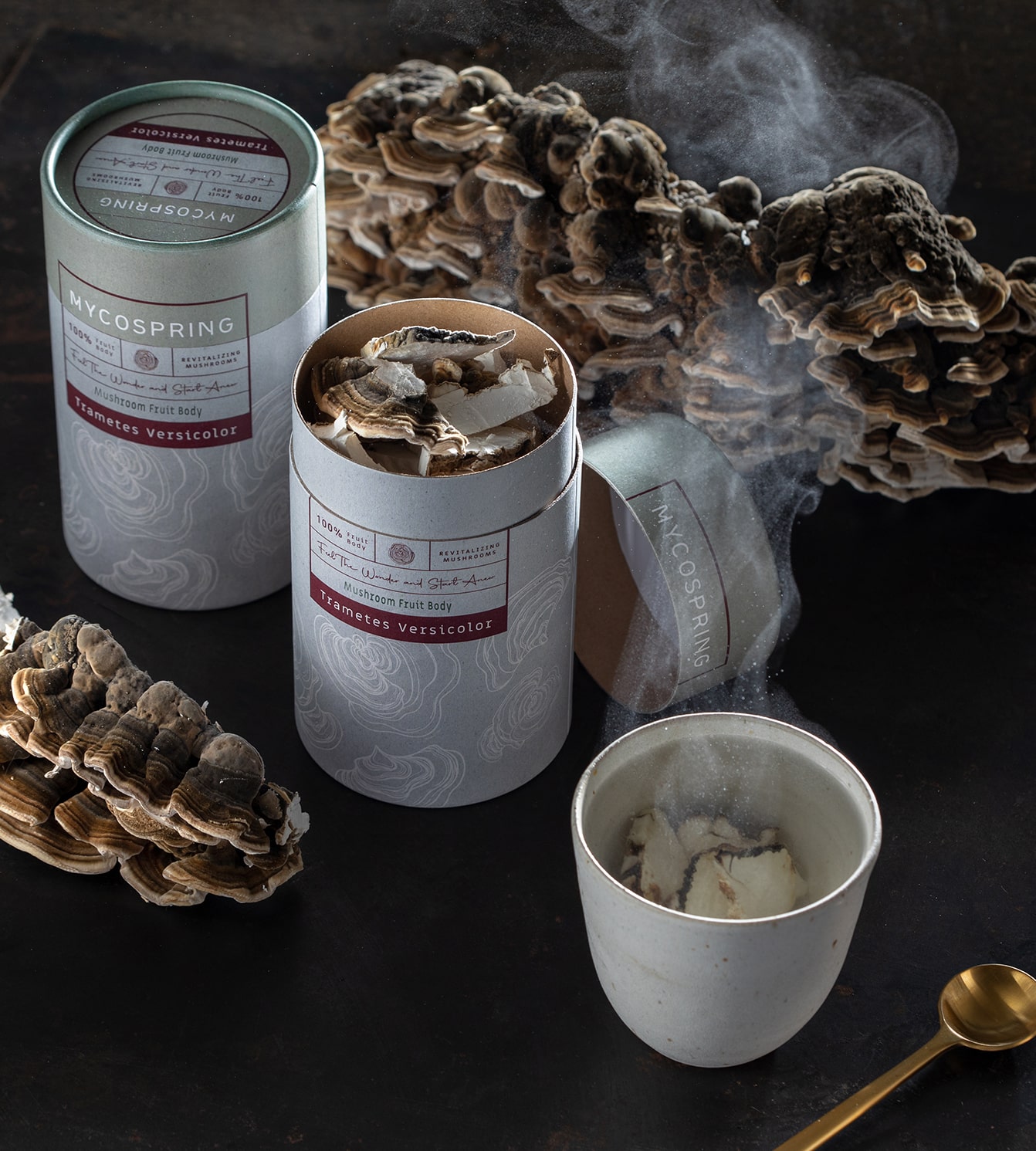 טרמטס ורסיקולור