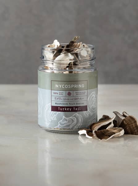 גופי פרי טרקי טייל