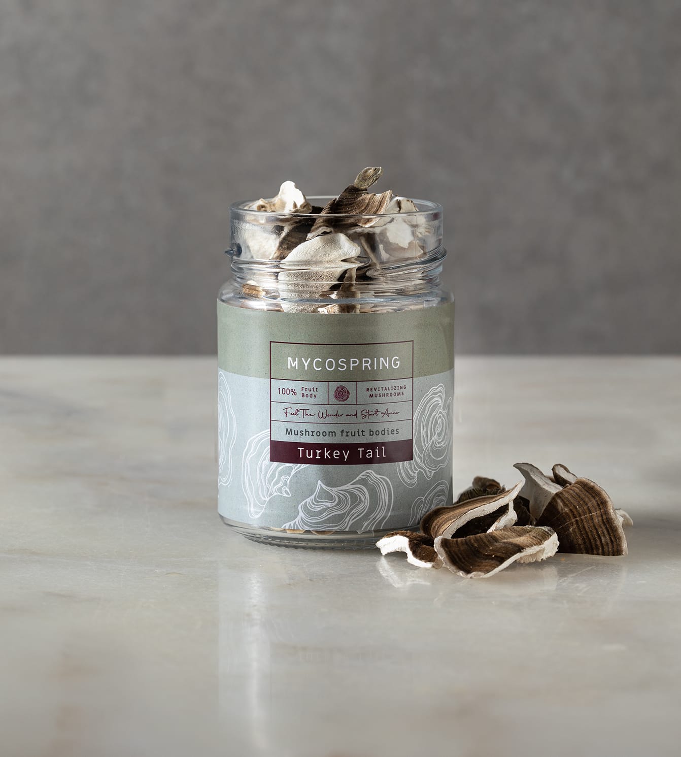 גופי פטריות מרפא