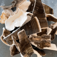 תערובת פטריות מרפא