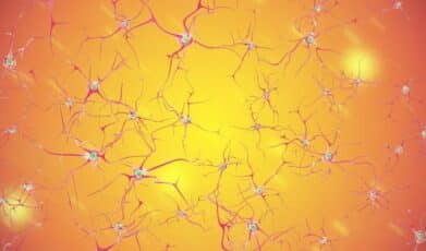 השפעת פטריות מרפא על המוח ומערכת העצבים