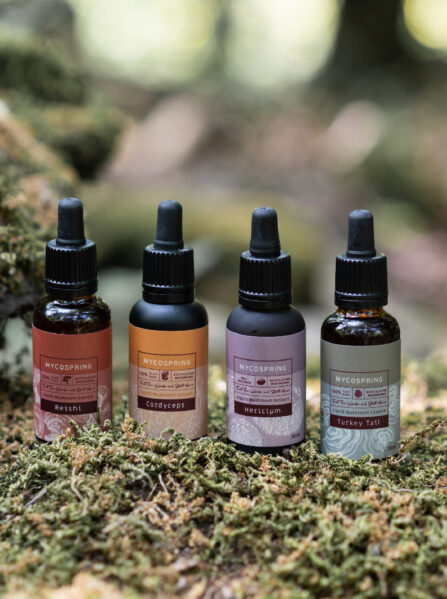 באנדל 4 תמציות