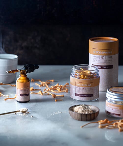 מוצרי קורדיספס