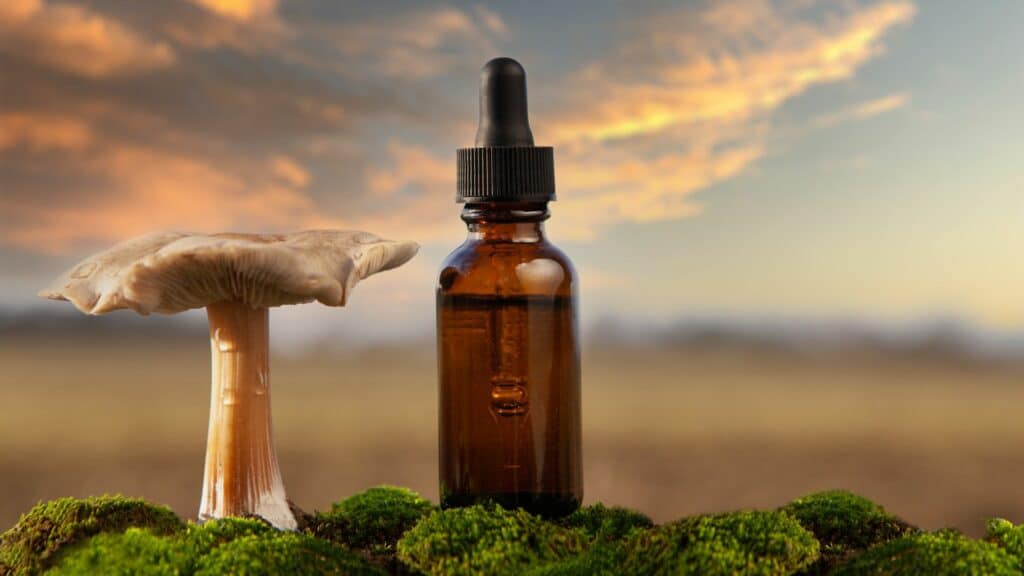 טיפול בחרדות