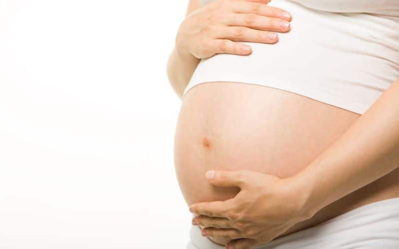 פטריות מרפא לפריון