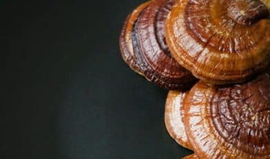 From 2000 years of Ganoderma lucidum to recent developments in nutraceuticals