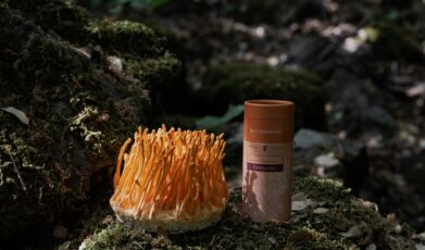 התמודדות עם גיל המעבר: כיצד פטריית הקורדיספס יכולה לסייע לך לשמור על איזון הורמונלי וחיים מלאי אנרגיה