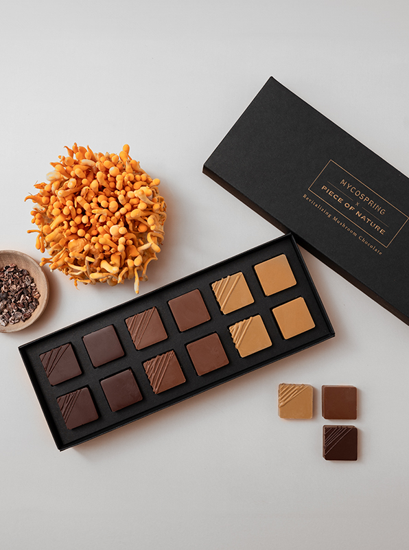 שוקולד פטריות מרפא