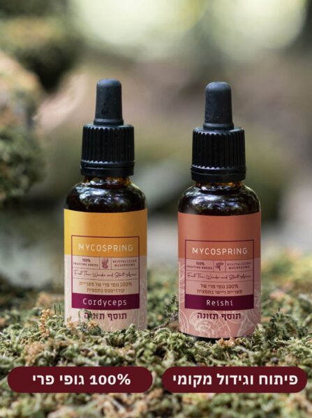 באנדל חיוניות ורוגע