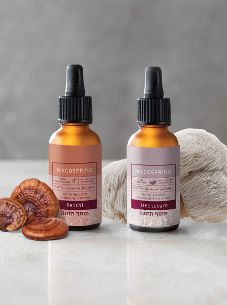 באנדל פוקוס ואיזון