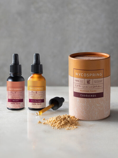 באנדל גיל המעבר